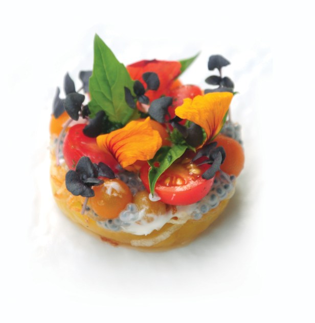 Heirloom Tomato 8 Final