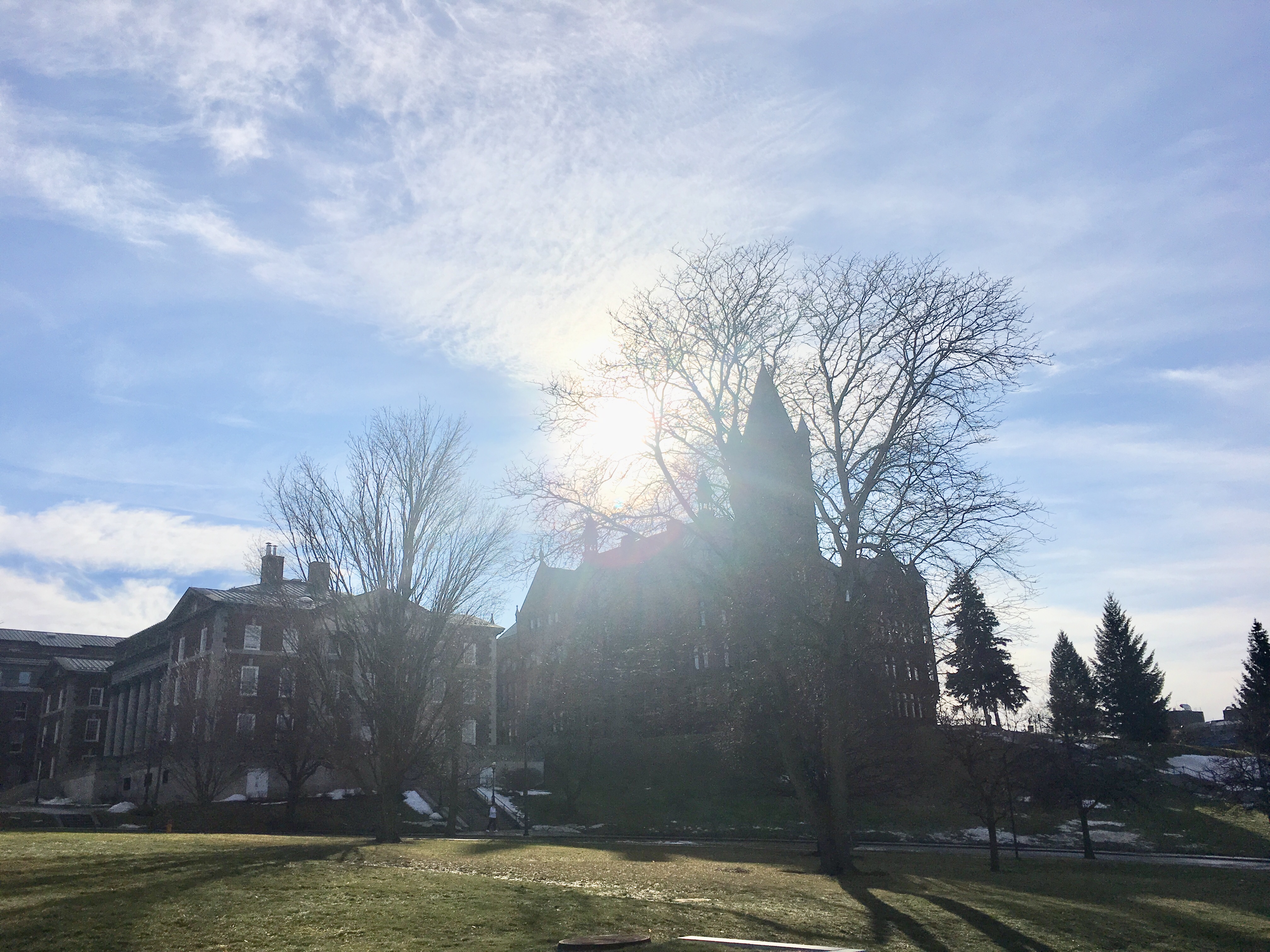 Sunteased, Syracuse University