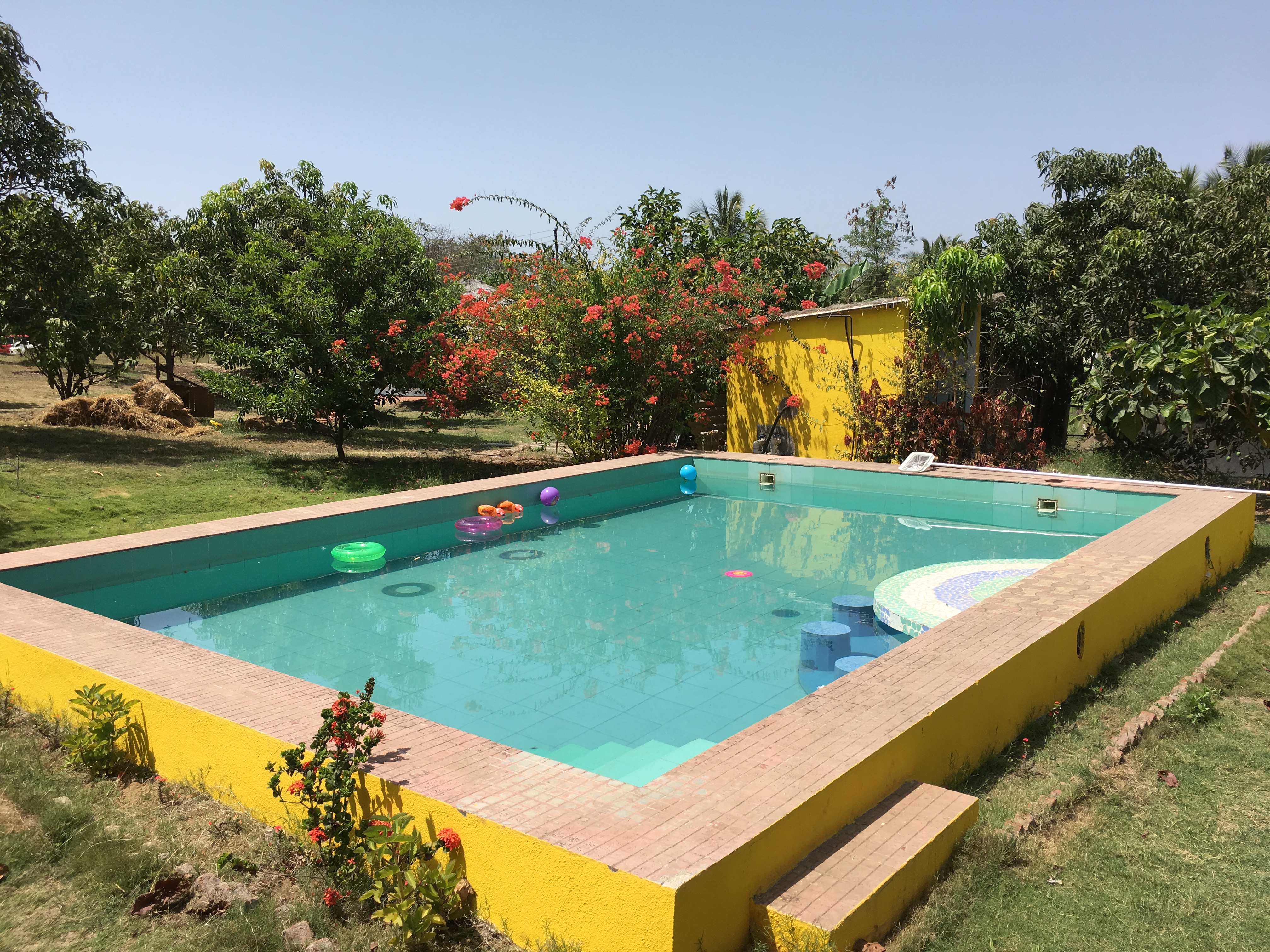 Cob 5, Karjat, Mumbai, India