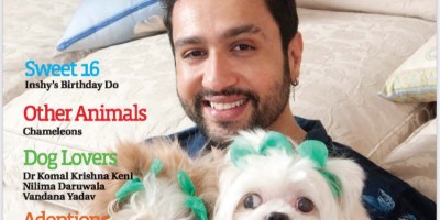 Dogs, Adhyayan Suman, Sweet 16, Chameleon, Dog Adoptions