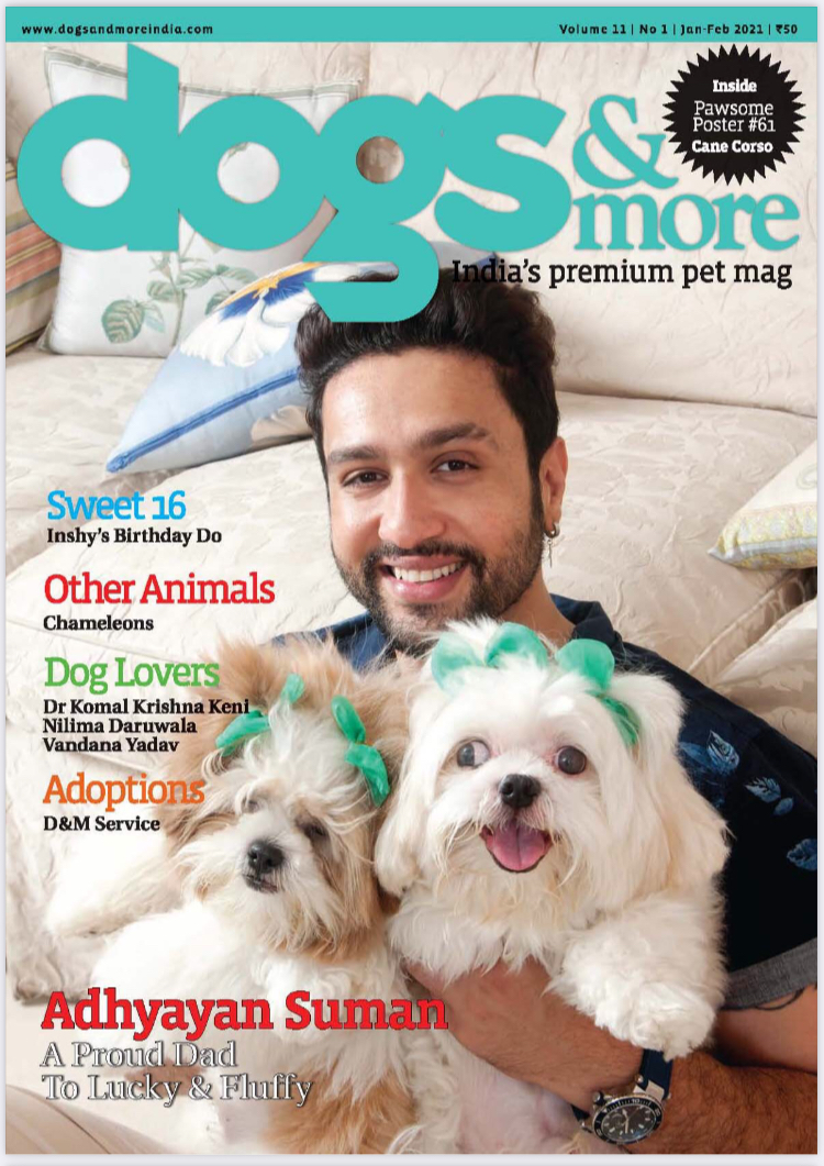 Dogs, Adhyayan Suman, Sweet 16, Chameleon, Dog Adoptions